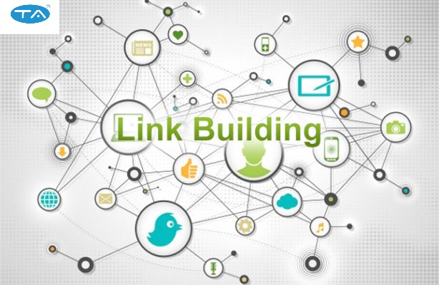 Link building quan trọng vì sao?